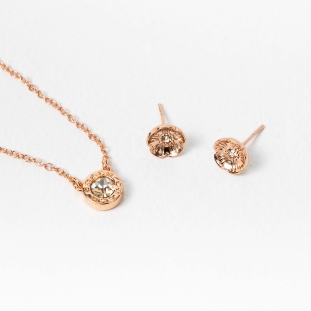 NWT Coach Open Circle Necklace And Tea Rose Stud Earrings Set